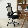 High-back Mesh Ergonomic Chair w/ Chrome-plated Base