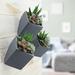 Orren Ellis Farmington Ceramic Wall Planter Ceramic in Gray | 4 H x 3.5 W x 3.5 D in | Wayfair WP01DG