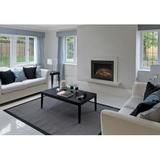 Dimplex Bi-Fold Glass Fireplace Doors Steel in Gray | 32.75 H x 38.75 W x 15.25 D in | Wayfair BFDOOR39BLKSM