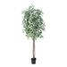 Vickerman 6' Artificial Variegated Ficus, Black Plastic Pot