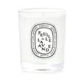 Diptyque Scented Candle - Lavender Leaf (Lavender Leaf) 70g/2.4oz