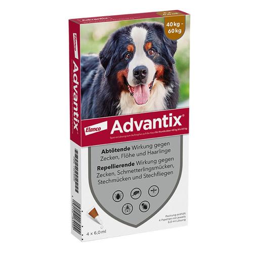 Advantix Spot-on Lsg.z.Auftr.a.d.H.f.Hund 40-60 kg 4x6 ml Lösung