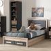 Contemporary Grey and Brown Twin Size Storage Bed by Baxton Studio