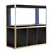 AQUA DREAM Rectangle Aquarium Tank Metal (great for large aquariums) in Yellow/Black | 61 H x 47.2 W x 19.7 D in | Wayfair AD-1260-BK