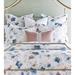 Eastern Accents Adare Manor by Celerie Kemble Ball-trim Euro Sham 100% Cotton in Blue | 27 H x 27 W x 8 D in | Wayfair 7YG-CK-EUX-12