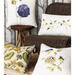 Eastern Accents Nature Walk by Celerie Kemble Throated Finches Square Cotton Pillow Cover & Insert Polyester/Polyfill/Cotton | Wayfair