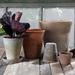 Bungalow Rose Riegel Terracotta Pot Planter Clay & Terracotta in Red | 5 H x 4 W x 4 D in | Wayfair 26F631D69B3540E4881A17CD2685812C
