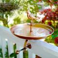 August Grove® Birdbath Metal | 24 H x 12 W x 6 D in | Wayfair 1E6315CAC5ED4CE68CC604838D573625