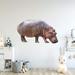 Indigo Safari Hippo Wall Decal Peel & Stick Nursery Animal Sticker - PAS40 Canvas/Fabric in Gray/Brown | 30 H x 51 W in | Wayfair