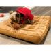 Tucker Murphy Pet™ Tucker Murphy™ Pet Chicken & Waffles Pet Bed Polyester in Brown | 5 H x 20 W x 20 D in | Wayfair