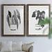 Bay Isle Home™ B & W Indoor Plant V - 2 Piece Painting Print Set Paper in Black/Blue/Green | 37.5 H x 55 W x 1.5 D in | Wayfair