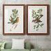 Red Barrel Studio® Antique Bird, Botanical & Egg I - 2 Piece Picture Frame Painting Print Set on Paper in Black/Blue/Green | 1.5 D in | Wayfair