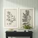 Antique Black & White Botanical IV - 2 Piece Picture Frame Painting Print Set on Canvas Canvas | 37.5 H x 55 W x 1.5 D in | Wayfair