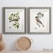 Red Barrel Studio® Antique Bird, Botanical & Egg III - 2 Piece Picture Frame Painting Print Set on Paper in White | 24 H x 36 W x 1.5 D in | Wayfair