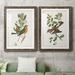 Red Barrel Studio® Antique Bird, Botanical & Egg I - 2 Piece Picture Frame Painting Print Set on Paper in White | 31.5 H x 47 W in | Wayfair