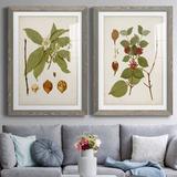 August Grove® Antique Leaves I - 2 Piece Picture Frame Painting Print Set on Paper in Black/Blue/Green | 1.5 D in | Wayfair