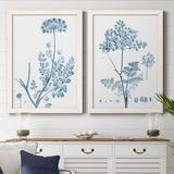 August Grove® Antique Botanical In Blue V - 2 Piece Picture Frame Painting Set on Canvas in White | 31.5 H x 47 W in | Wayfair