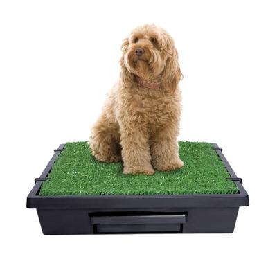 Pet Loo Indoor Yard Training System for Dogs, Medium