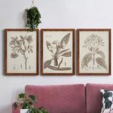 August Grove® Antique Sepia Botanicals I - 3 Piece Picture Frame Drawing Print Set on Canvas in Black/Blue/Gray | 100 H x 94.5 W in | Wayfair