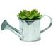 Northlight Seasonal 6" Potted Artificial Mini Echeveria Succulent w/ Watering Can Plastic/Metal | 3 H x 6 W x 2.5 D in | Wayfair NORTHLIGHT SF04566