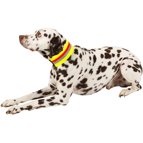 HEIM Hunde-Halsband Signalhalsband, Textil gelb Hundehalsbänder Hund Tierbedarf