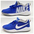 Nike Shoes | Boy’s Nike Team Hustle Quick 2 Game Bball Sneakers | Color: Blue/White | Size: 6.5y