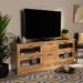 Adelino Modern Oak Brown Finished Wood 2-Drawer TV Stand