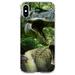 DistinctInk Clear Shockproof Hybrid Case for iPhone X / XS (5.8 Screen) - TPU Bumper Acrylic Back Tempered Glass Screen Protector - T-Rex Dinosaurs Raptor