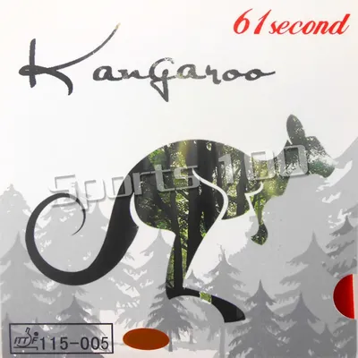 Tennis de Table kangourou caoutchouc avec éponge blanche 61 secondes