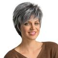 CieKen White and Gray Short Length Fashion Hair Heat-Resistant Synthetic Fiber Wigs