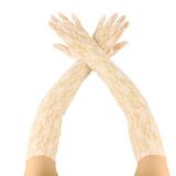 Sexy Floral Sheer Lace Tea Party Vintage Style Opera 22" Long Dressy Gloves Ivory