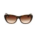 Rayban Nylon Frame Brown Gradient Lens Ladies Sunglasses 0RB42277101355