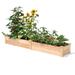 16 in x 96 in FarmHome Narrow Cedar Wood Raised Garden Bed - 16 inches W x 96 inches L X 11 inches H