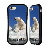 Head Case Designs Wildlife Polar Bear On Ice Hybrid Case Compatible with Apple iPhone 7 / 8 / SE 2020 & 2022