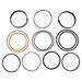 Hydraulic Cylinder Seal Kit for John Deere Tractor AH149846