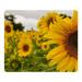 POPCreation Yellow Mellow Sunflower Mouse pads Gaming Mouse Pad 9.84x7.87 inches