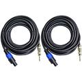 Ignite Pro 2X Speakon to 1/4 25 Ft. True 12 Gauge Wire AWG DJ/Pro Audio Speaker Cable Pair