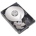 HGST Travelstar HTS547575A9E384 2.5-Inch 750GB 5400RPM SATA II 8 MB Cache Internal Hard Drive