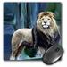 3dRose Lion The King - Mouse Pad 8 by 8-inch (mp_580_1)