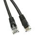 eDragon Cat5e Ethernet Patch Cable Snagless/Molded Boot 25 ft Black Pack of 4