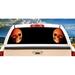 SignMission Wax Skull Rear Window Graphic truck view thru vinyl decal HD Graphics Professional Grade Material Universal Fit for Full Size Trucks Weatherproof & Car Wash Safe Made In The U.S.A.