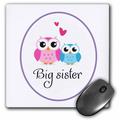 3dRose I love my big sister - Mouse Pad 8 by 8-inch (mp_157415_1)