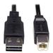 Tripp Lite UR022006 6 ft. Reversible A to B Male to Male USB 2.0 Cable - Black