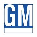 General Motors : Genuine OEM Factory Original GM Valve - Part # 17113374