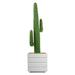 Mexican Cactus Fiberstone Planter in White