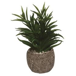 Transpac Dolomite 7 in. Green Spring Faux Succulent with Planter