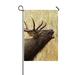 ECZJNT Bull Elk Stag Bugling Calling Rocky Mountain Cervus Canadensis Garden Flag Outdoor Flag Home Party Garden Decor 12x18 Inch