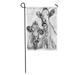 LADDKE Cattle Two Cows Black and White Sketch Beef Herd Dairy Bull Milk Garden Flag Decorative Flag House Banner 28x40 inch