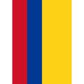 Toland Home Garden Flag of Colombia House Flag