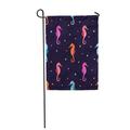 KDAGR Abstract Sea Horses Watercolor Colorful Seahorse Aquatic Cute Garden Flag Decorative Flag House Banner 12x18 inch